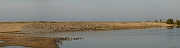 David Plant Photography - Wildlife Photography - Snettisham high tide - C